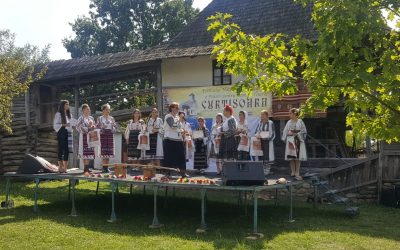 AUFG, partener al Festivalului Curtisoara